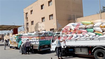 توريد القمح بالصوامع بدسوق في كفر الشيخ