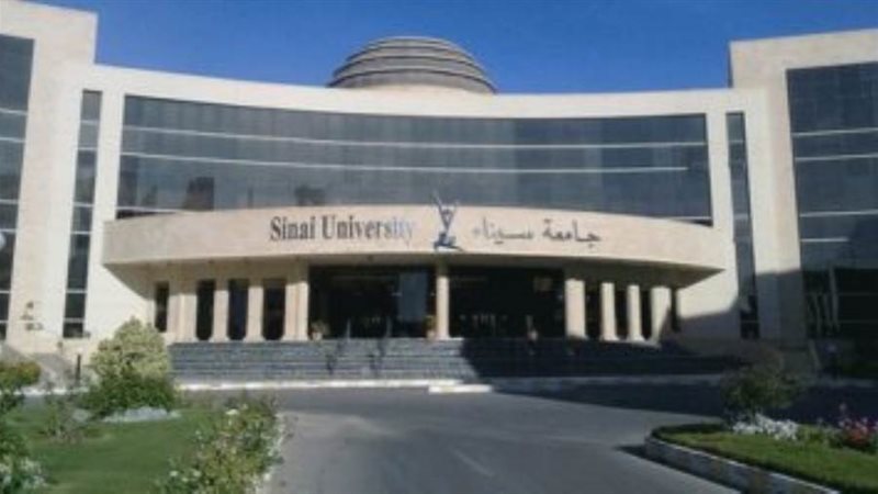 جامعة سيناء