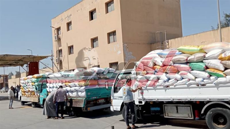 توريد واستلام القمح