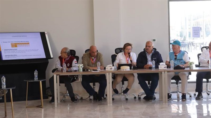 الاجتماع الفنى قبل