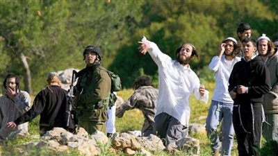 مستوطنون يعتدون على ممتلكات الفلسطينيين بالضفة الغربية