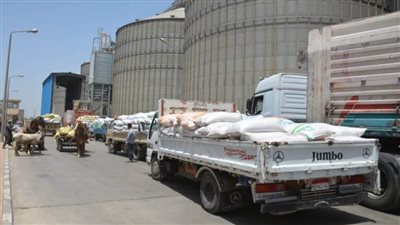 توريد 212 طنًا و339 كجم قمح إلى شون وصوامع دمياط