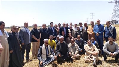 محافظ الشرقية يشهد انطلاق موسم حصاد القمح بقرية صفيطة في الزقازيق