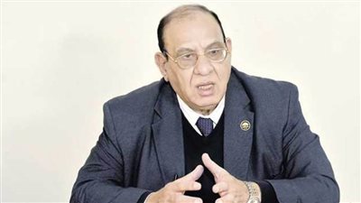 عضو مجلس أمناء الحوار الوطني: اجتماعات اللجان ستعقد بالتوازي.. والبداية بالمحور السياسي