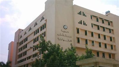 تاجر يصيب جاره بطعنة نافذة بالبطن بسبب لهو الأطفال بالدقهلية 