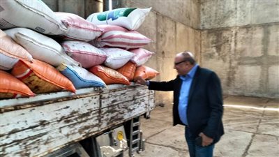 وكيلا وزارتا التموين والزراعة يتابعان بداية موسم توريد القمح المحلي لهذا العام 