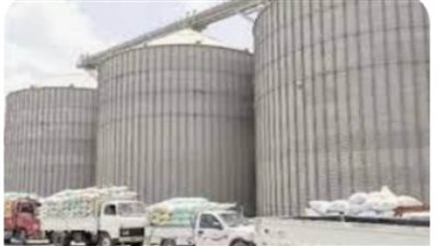 وكيل وزارة الزراعة : استمرار توريد القمح لصوامع الوادي الجديد  