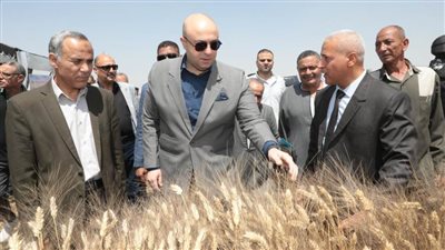 محافظ بني سويف يفتتح موسم حصاد القمح ويوجه بتيسير التوريد للصوامع والشون