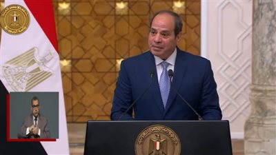 الرئيس السيسي يطلع مستشار النمسا على جهود الدولة المصرية بشأن 