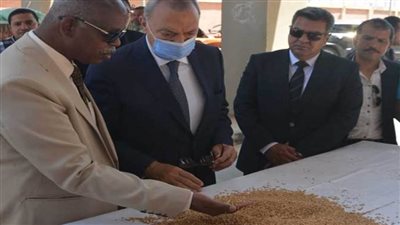 محافظ القليوبية: توريد 4 آلاف طن قمح للشون والصوامع حتى الآن