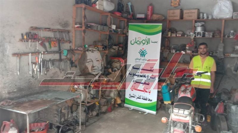 التمكين الاقتصادي