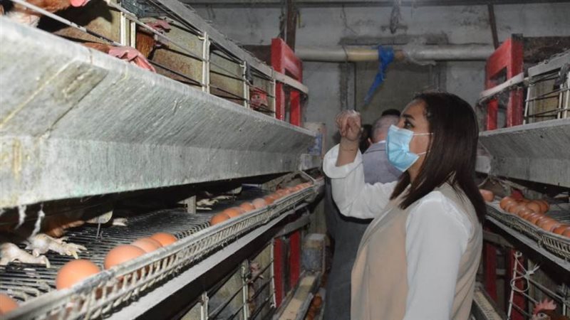 نائب محافظ البحيرة