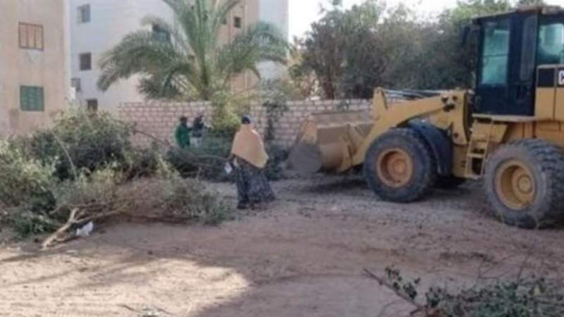 حملة إزالة وإزالة