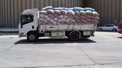 توريد 23 ألف طن قمح للشئون والصوامع الحكومية بالمنيا