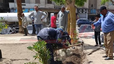حملات نظافة وزراعة الأشجار ضمن مبادرة 100 مليون شجرة بدسوق