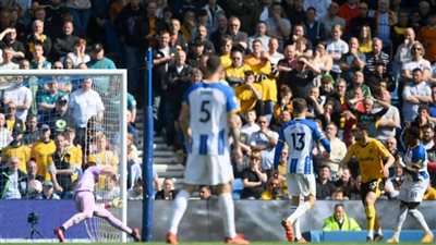 برايتون يفوز على وولفرهامبتون بسداسية نظيفة لأول مرة في تاريخه بالبريميرليج