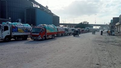 توريد 51 ألف طن قمح للشون والصوامع بالدقهلية