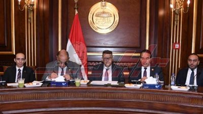 حقوق الإنسان بالنواب توصي بتشريع قانون منظم لعمل التحالف