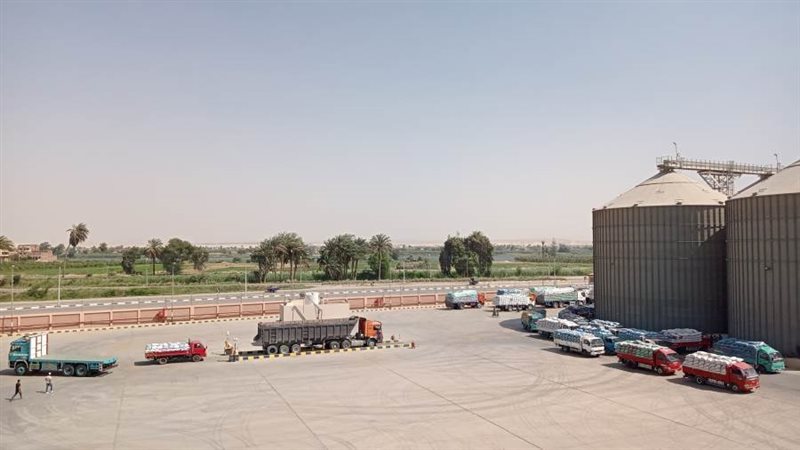 بوابة روز اليوسف