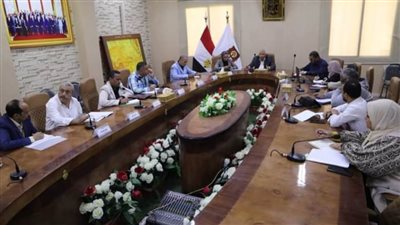 محافظ الوادي الجديد يلتقي أعضاء اللجنة التنفيذية للمبادرة الوطنية للمشروعات الخضراء الذكية