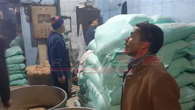 كفر الشيخ: تحرير 78 محضراً تموينياً للمخالفين بالمخابز