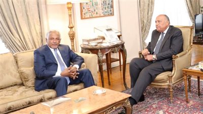 وزير الخارجية: الرئيس السيسي وجه بتوفير أكبر قدر من الرعاية وحسن الضيافة للأشقاء السودانيين