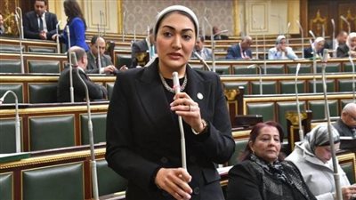 النائبة أسماء الجمال: الحوار الوطني فرصة للمشاركة في صناعة المستقبل والانطلاق للجمهورية الجديدة