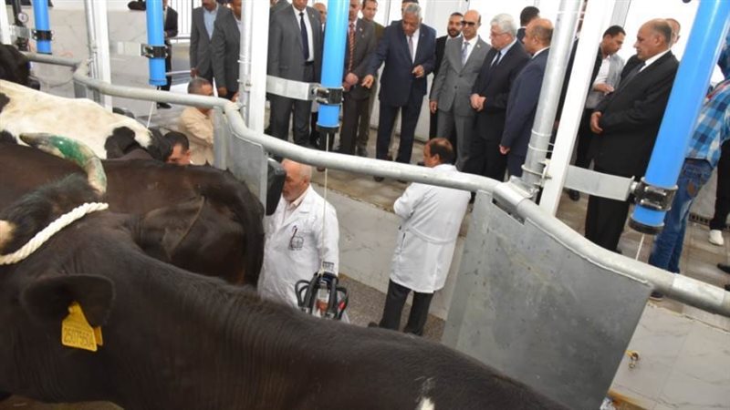 وزير التعليم العالي