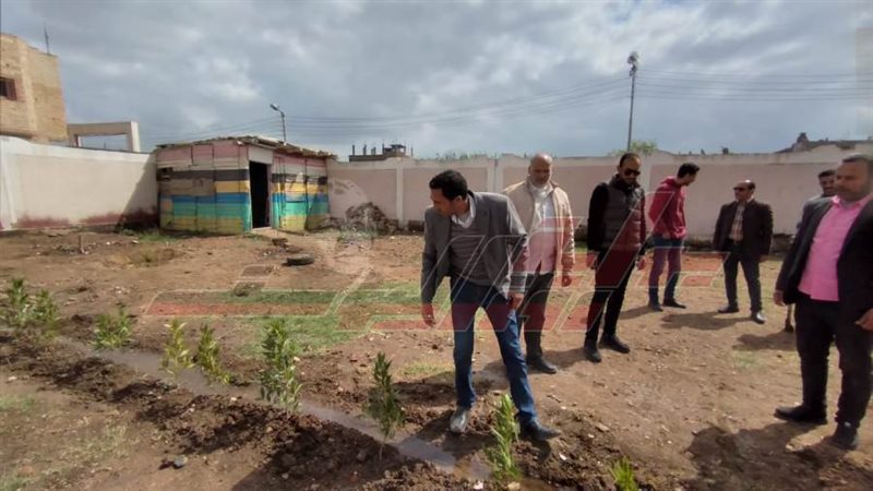 زراعة الأشجار