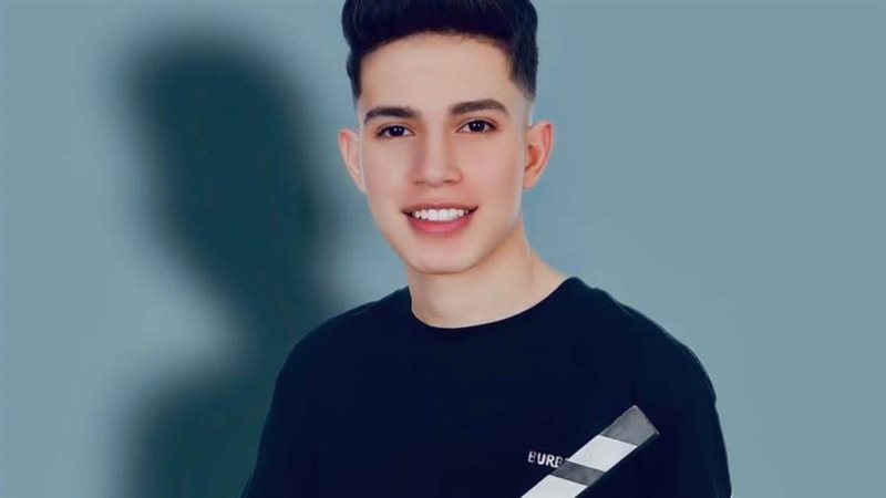 الفنان ابراهيم علي