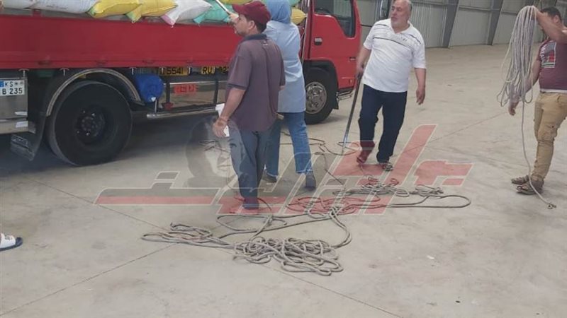 توريد القمح