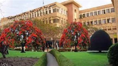 مديرية الزراعة بالإسماعيلية: توريد أكثر من 9 آلاف و884 طنا من القمح حتى الآن