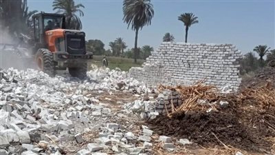 بني سويف .. بلدوزرات حق الشعب تدهس 87 حالة تعد