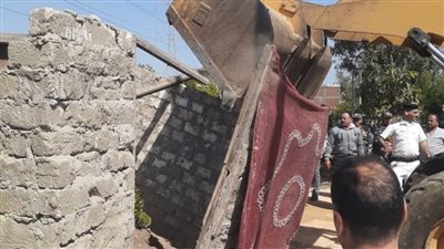 تنفيذ 98 قرار إزالة ضمن الموجة 21 لإزالة التعديات بالبحيرة