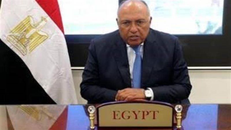 سامح شكري وزير الخارجية