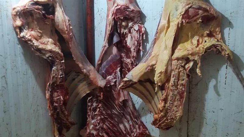 ضبط لحوم غير صالحه