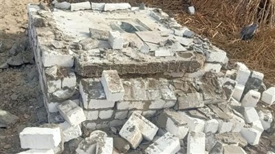 إزالة 560 حالة تعدٍ على الأراضى الزراعية وأملاك الدولة بالبحيرة