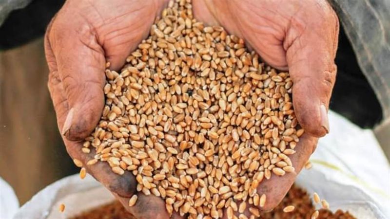 جانب من التوريد