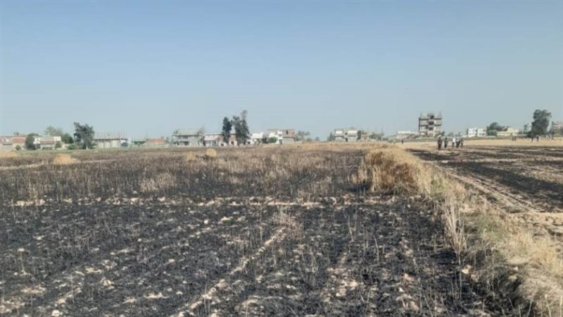 حريق فى أرض زراعية