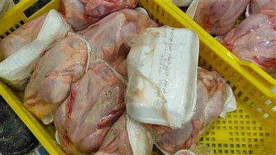 عاجل|  كشف ملابسات قيام شخصين بإدارة مجزر غير مرخص وبيع دواجن نافقة للمستهلكين