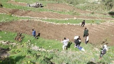 مصرع 9 أشخاص وإصابة 5 جراء سقوط سيارة من منحدر جبلي باليمن