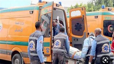 إصابة 9 أطفال في انقلاب أتوبيس حضانة بالشرقية 