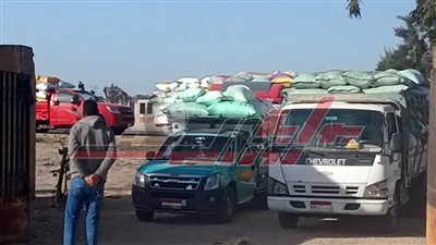 توريد 74516 طنا و476 قمح لشون وصوامع كفر الشيخ  