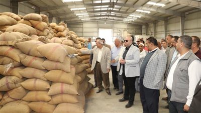 محافظ بني سويف يتفقد توريد القمح لشونة اهناسيا الخضراء
