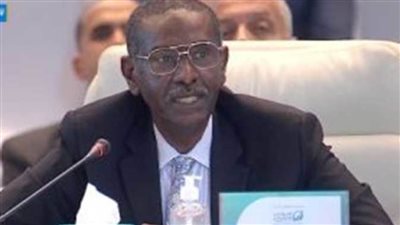 المدير الإقليمي لمؤسسة التمويل الدولية: نستهدف توفير 830 مليون دولار لصالح مصر