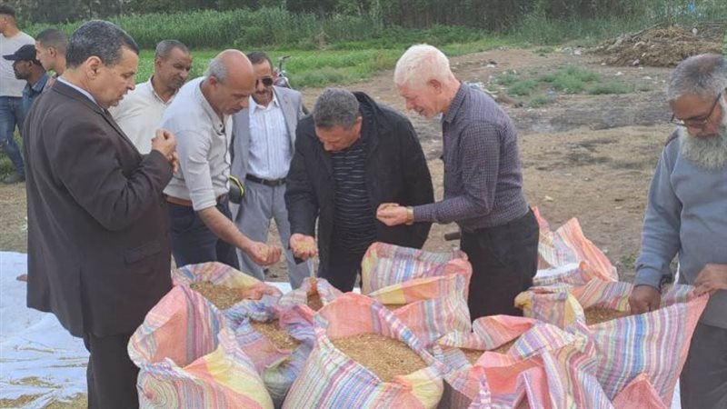 وكيل تعليم البحيرة