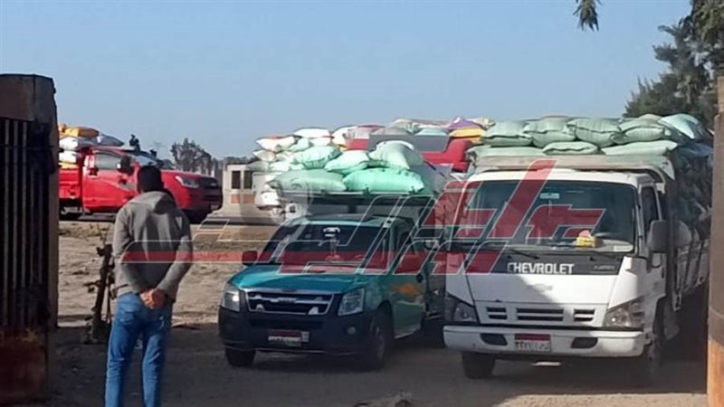 توريد واستلام القمح