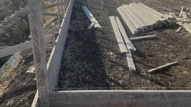 إزالة 723 حالة تعد