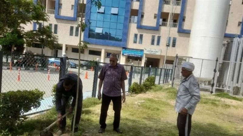 زراعة الاشجار ببنى