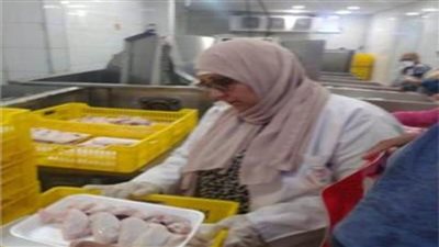 ضبط 10.8 أطنان لحوم دواجن مجهولة المصدر بالشرقية 